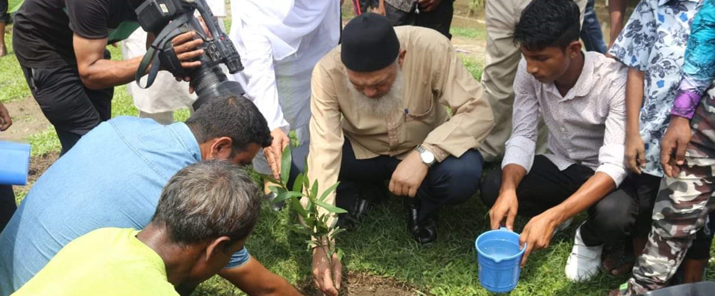 Tree Plantation in AMCC by President of DAM